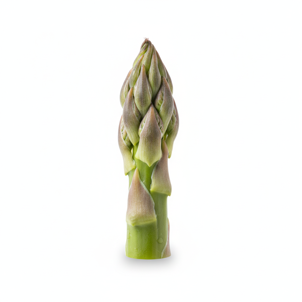 Asparagus Tip
